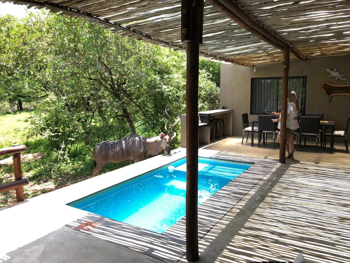 Kruger Willows Marloth Park Εξωτερικό φωτογραφία